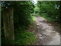 Marker post on the Downs Link