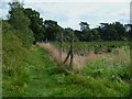 Footpath towards the Downs Link at Cranleigh