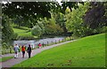 O1334 : Path by lake in Phoenix Park, Dublin by P L Chadwick