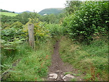 SO2729 : Footpath in the Vale of Ewyas by Jeremy Bolwell