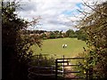 Common and Footpath near Maltby