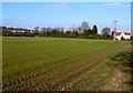 Fields at Little Luddington.