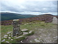 SO2627 : Bal-Mawr summit trig point in August by Jeremy Bolwell