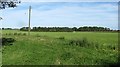 Farmland, Newtonbarns