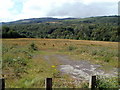 Waste land between the River Neath and Neath Canal, Glynneath