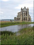 NZ9011 : Ruins of Whitby Abbey by Pauline E