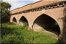 SU9875 : Arches leading to Albert Bridge by Philip Halling