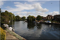 SU9974 : The Thames near Old Windsor by Philip Halling