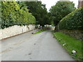 Mill Lane approaching Stedham church