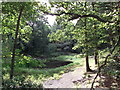 Pond in Hayes Common