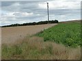 SE3836 : Change of crop, Limekiln Hill by Christine Johnstone