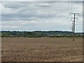 SE3836 : Telegraph wires crossing a bare field by Christine Johnstone