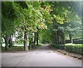 Cliffe Drive - viewed from Rawdon Drive 