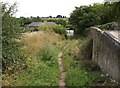 Bridleway near Rigton Moor Farm