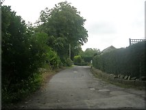 SE2039 : Rawdon Drive - viewed from High Close by Betty Longbottom