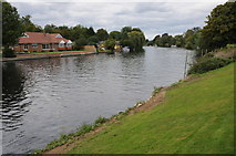 TQ0468 : River Thames at Laleham by Philip Halling