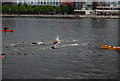 British Gas Swim - a leading pack