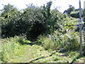 Bridleway off Palmers Lane