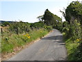 View east along the Bannanstown Road