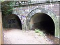 Footpath and river under the Chiltern Main Line