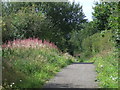 Railway path near High Moorsley