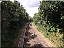 TQ3866 : Railway line to West Wickham by David Anstiss