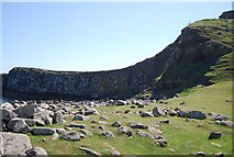 NU2522 : Sea Cliffs below Dunstanburgh Castle by N Chadwick