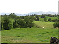 The view across drumlin land from Tullynasoo Road