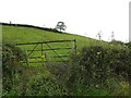 Ballymacarmery Townland