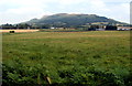 A view NE from the top of steps near Llantilio Pertholey