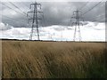 Power lines, Alloa