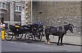O1433 : Horse-drawn carriage, Bellevue, Dublin by P L Chadwick