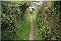 The coast path near Cotti Clyd