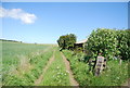 Footpath near Dunstanburgh Castle Golf Course