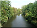 River Rother