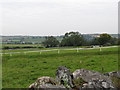 Gallops at Wood Lodge Stables