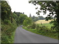 View north along Drumbuck Road, Castlewellan