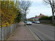 TQ1303 : Pavement in Bulkington Avenue by Basher Eyre