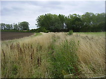 SP4970 : Dunchurch Farmland by Ian Rob