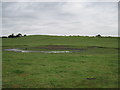 SE5246 : Large  field  Pond by Martin Dawes