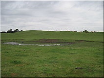 SE5246 : Large  field  Pond by Martin Dawes