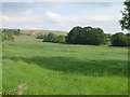 Farmland near Whiston