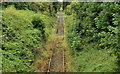 Disused railway, Brookhill near Lisburn (1)