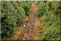 Disused railway, Ballinderry (2)