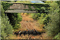 J1667 : Disused railway, Ballinderry (4) by Albert Bridge