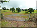 Pastoral landscape north of Driffield farm