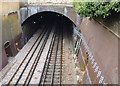 District Line tunnel mouth, seen from Cromer Villas Road