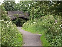 ST4553 : Bridge over Strawberry Line by Derek Harper