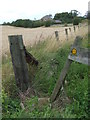 Public footpath near Great Lumley