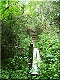 TQ1212 : Footpath with bridge and steps leading east from Washington by Shazz